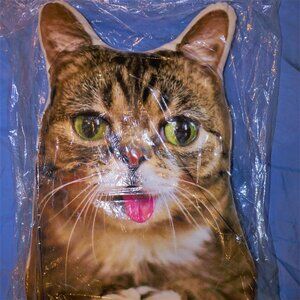 LIL BUB throw / toss decorative pillow Kitty Cat NEW in factory sealed bag RARE